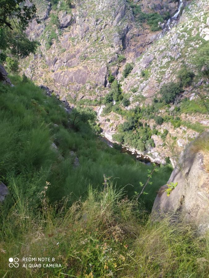 Bellavista Alojamento Arouca Eksteriør bilde